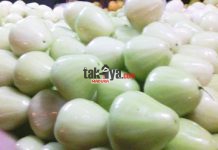 Klampok Camplong, Jambu Air Khas Madura