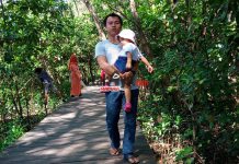 Hutan Magrove, Wonorejo, Surabaya