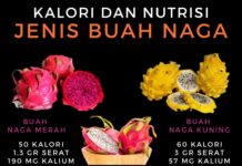 Kalori dan Nutrisi Jenis Buah Naga